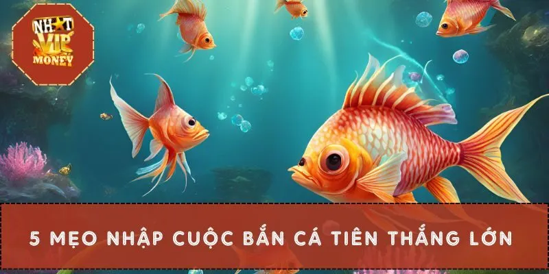 5 mẹo nhập cuộc bắn cá tiên thắng lớn