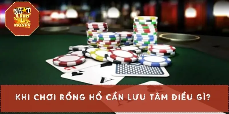 Khi chơi rồng hổ cần lưu tâm điều gì?