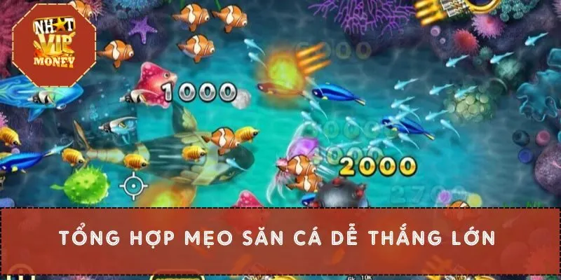 Tổng hợp mẹo săn cá dễ thắng lớn